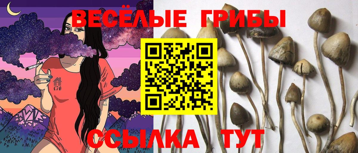 Галлюциногенные грибы MAGIC MUSHROOMS Ханты-Мансийск