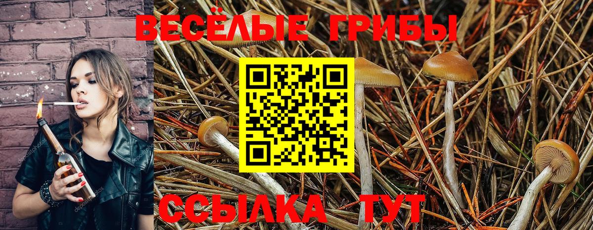 Ханты-Мансийск  Галлюциногенные грибы Magic Shrooms  Вход с VPN 